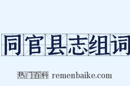 同官县志组词是什么意思的图片